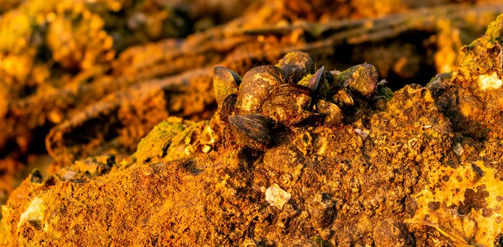 Brasil detém amplas reservas de minerais estratégicos