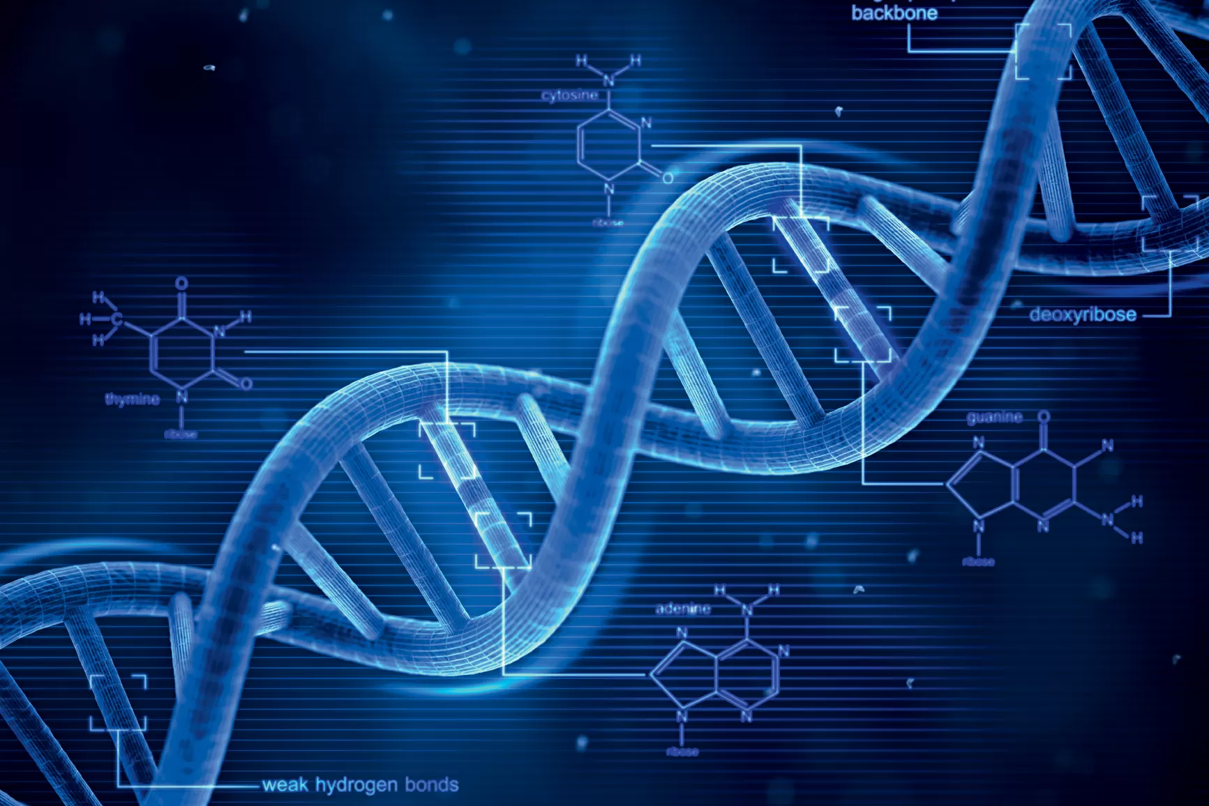 Google cria IA capaz de prever como alterações no DNA causam doenças