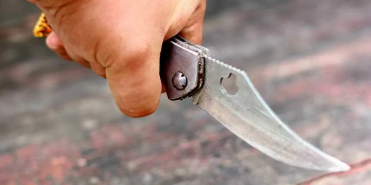 Segurança ameaça com faca jovens que entraram em estádio sem autorização