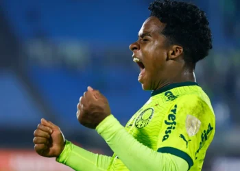 Contra Botafogo-SP, Palmeiras inicia contagem regressiva para despedida de Endrick