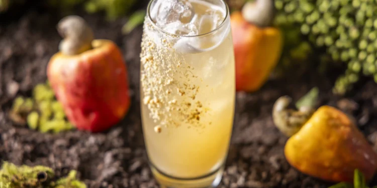 Alquimia brasileira: novo bar oferece coquetéis com ingredientes nacionais