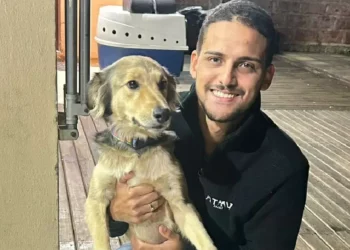 Tutores vivem reencontros emocionantes com seus pets no RS