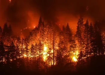 O PLANETA ARDE JUNTO COM O BRASIL