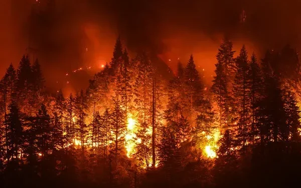 O PLANETA ARDE JUNTO COM O BRASIL