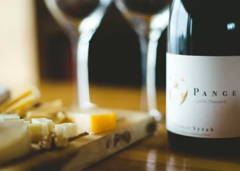 Além de Carmenere e Cabernet Sauvignon: conheça o grande Syrah feito no Chile