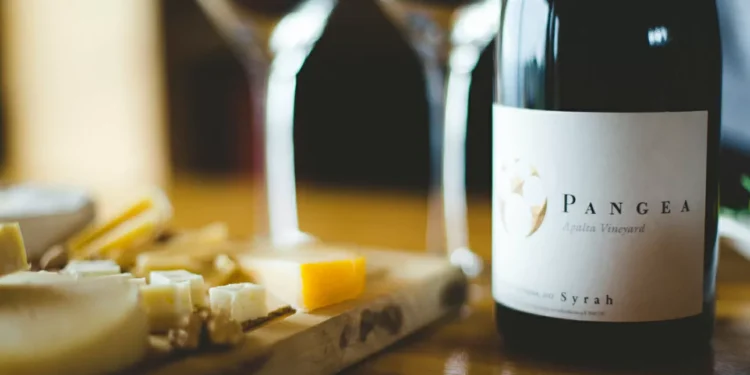 Além de Carmenere e Cabernet Sauvignon: conheça o grande Syrah feito no Chile