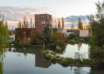 O que a compra da vinícola argentina Renacer representa para o grupo brasileiro Miolo