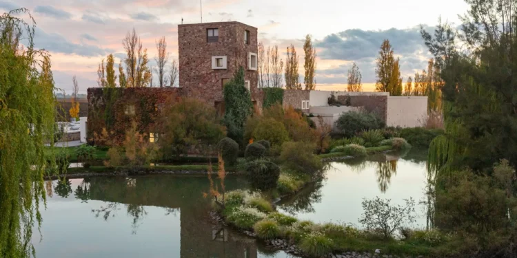 O que a compra da vinícola argentina Renacer representa para o grupo brasileiro Miolo