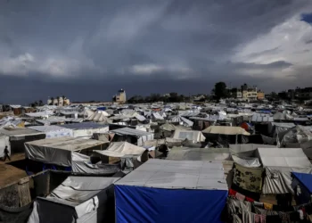 Ataque a comboio do Programa Alimentar Mundial causa dois mortos em Gaza