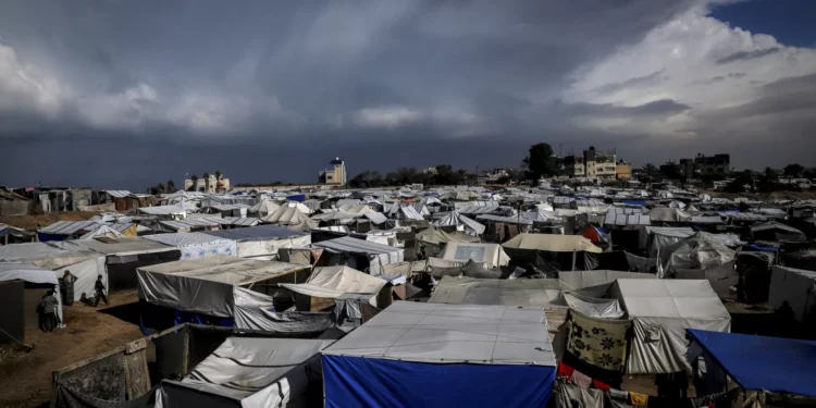 Ataque a comboio do Programa Alimentar Mundial causa dois mortos em Gaza