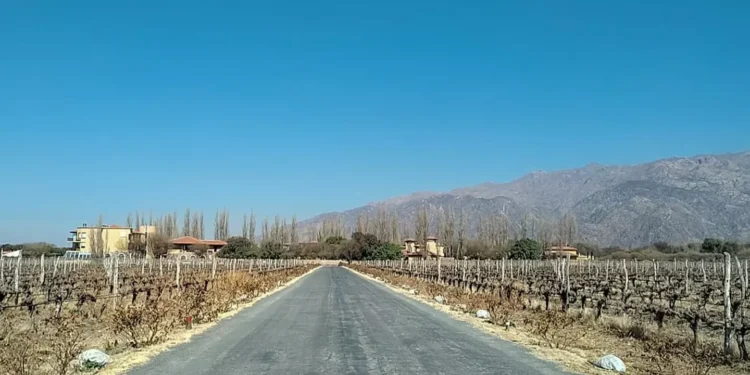 Retrospectiva Pé na Estrada: nove aventuras automotivas de 2024