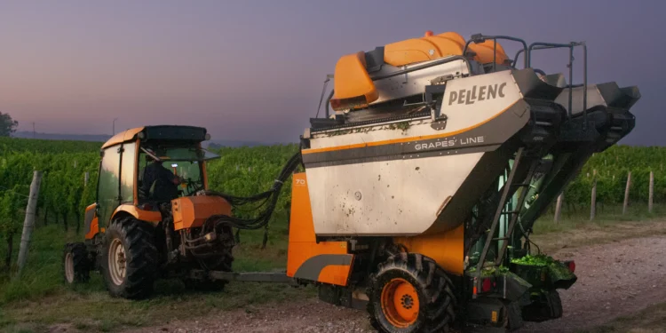 Na Campanha Gaúcha, vinícolas investem em colheita mecanizada