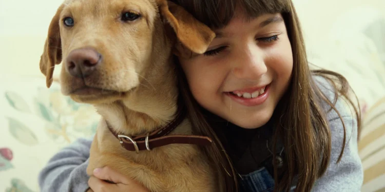 Estudos mostram importância dos bichos de estimação para pacientes dos serviços públicos de saúde