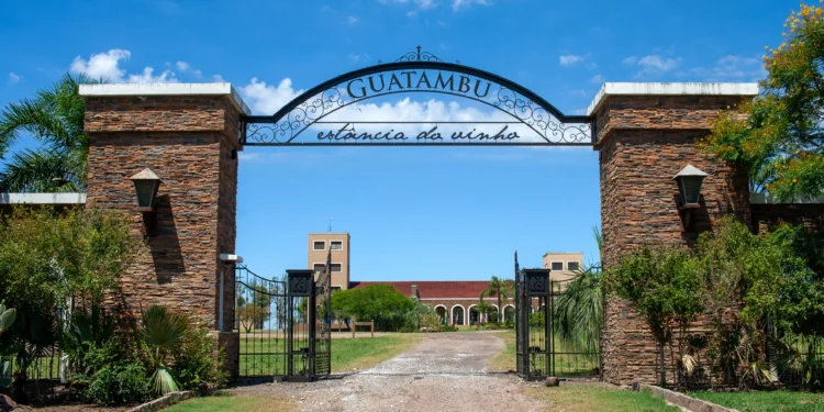 Conheça a vinícola da Campanha Gaúcha que está colecionando prêmios