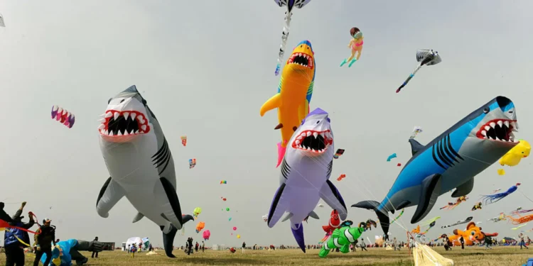 Bizarros e coloridos. Papagaios ‘invadem’ céus de cidade chinesa