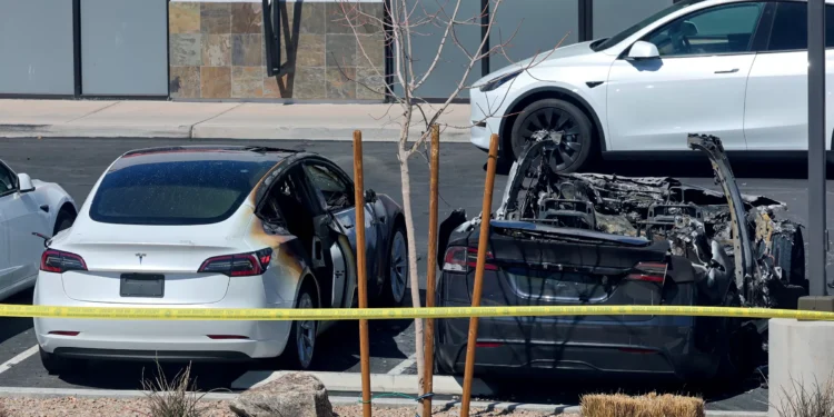 Trombada ideológica: como o elo entre Musk e Trump respinga na imagem da Tesla