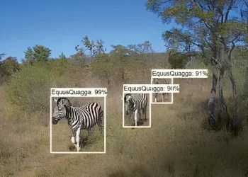 A tecnologia é animal: as inovações por trás dos espetaculares documentários sobre bichos
