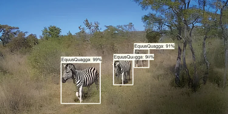 A tecnologia é animal: as inovações por trás dos espetaculares documentários sobre bichos