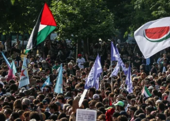 AG da ONU exige cessar-fogo em Gaza e responsabilização de Israel