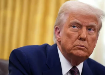 Trump perdoa mergulhadores acusados de roubo por libertarem tubarões