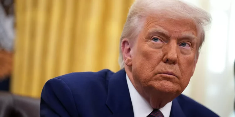 Trump perdoa mergulhadores acusados de roubo por libertarem tubarões