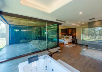 Leão ‘visita’ hóspede em hotel de luxo na África do Sul: entenda