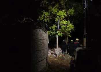 Central nuclear de Zaporíjia recupera energia externa