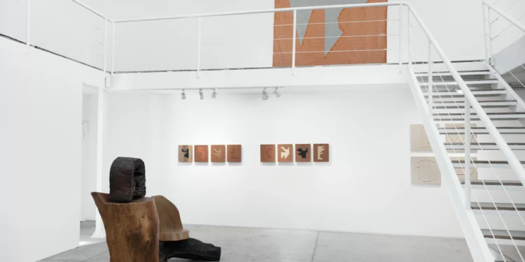 Novo olhar: como galeria em São Paulo estabelece o design, a natureza e até palavras como arte?