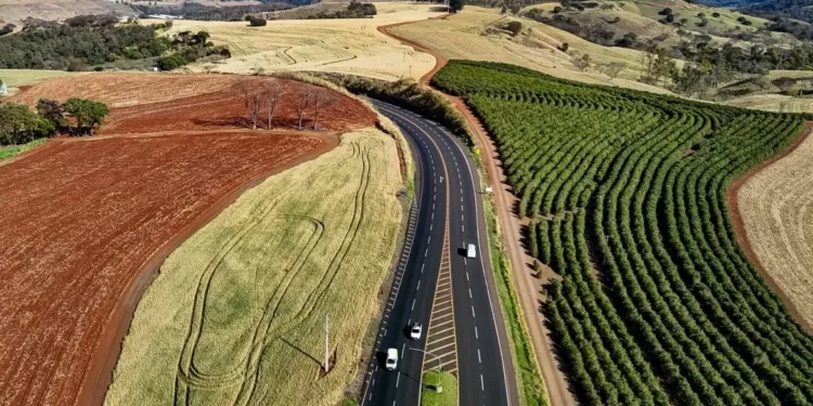Grupo EPR vence leilão do lote 4 das rodovias integradas do Paraná