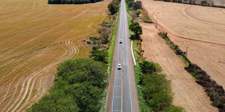 Duplicação da BR-369 no Paraná integra pacote de obras das concessões rodoviárias