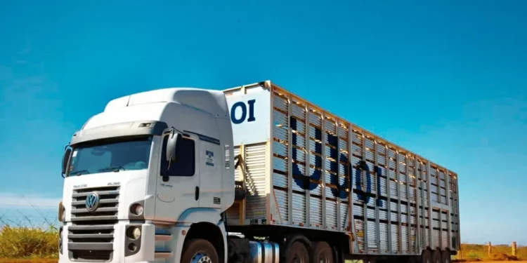 Conhece o Uboi? É tipo Uber, só que para gado