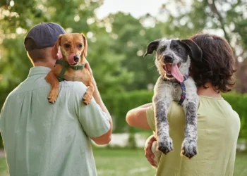 A revolução dos bichos: Brasil possui hoje a terceira maior população de pets do mundo