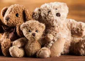 Brinquedos com inteligência artificial embutida ganham popularidade entre crianças chinesas