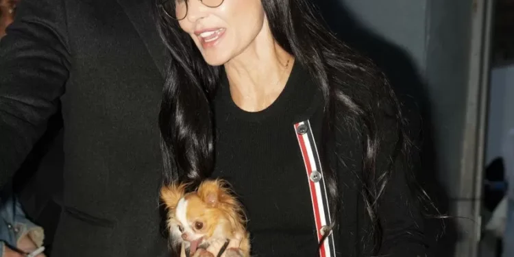 Por que estrelas como Demi Moore e Anne Hathaway amam um cardigã?