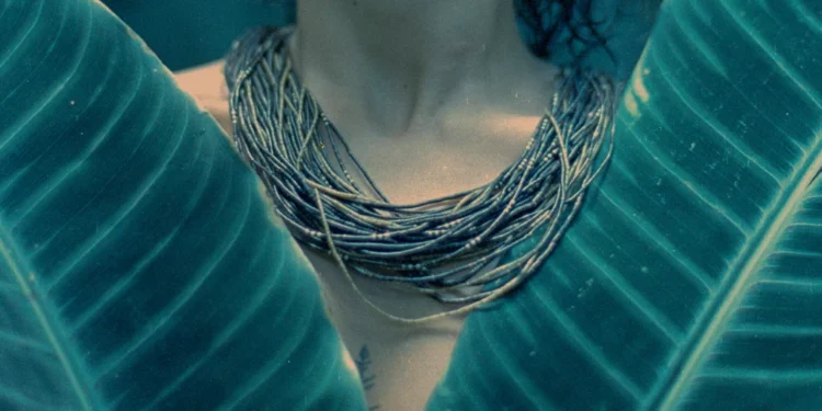 Desfile coloca bioeconomia na passarela