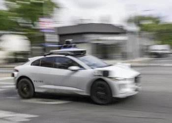 Robô táxi atropela gato e provoca revolta