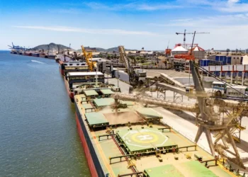 Portos paranaenses lideram crescimento nacional