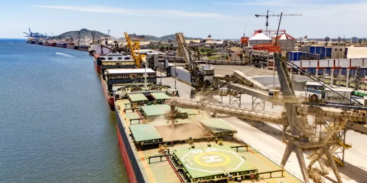 Portos paranaenses lideram crescimento nacional