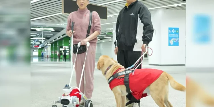 China testa “cão-guia robô” em estação de metrô