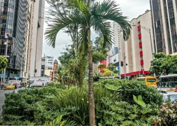 O valor do espaço público