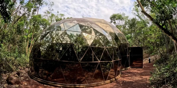 Como é visitar Inhotim, eleito pelo New York Times destino para 2026