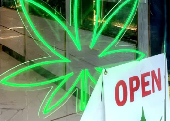 Importação de cannabis medicinal bate recorde no Brasil em 2025