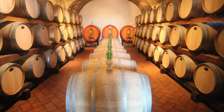 Brasil aumenta consumo de vinhos importados