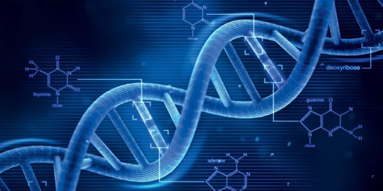 Google cria IA capaz de prever como alterações no DNA causam doenças