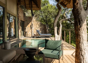 Grupo hoteleiro amplia experiência na África do Sul com hospedagem e conservação ambiental